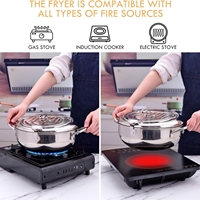 Mini friteuse à huile avec thermomètre - Outil de cuisine multifonctionnel pour la cuisine à domicile, idéal pour faire frire des pommes de terre, du poisson et des légumes