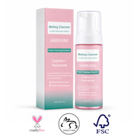 Nettoyant Visage Moussant Doux au Niacinamide et à la Calamine Marque Blanche – Démaquillant OEM ODM
