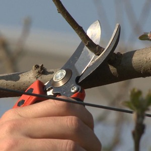 สำหรับ Bici da pota bahco 'px-m2' 20ซม - Product Image 4