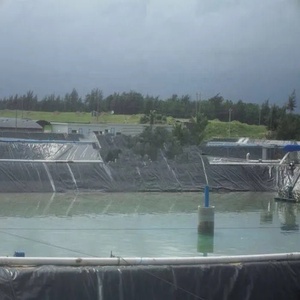 EPDM Roofing Membrane 41mil 15ft X 160ft Rubber <strong>Waterproofing</strong> <strong>Sheets</strong> <strong>Materials</strong> for Flat Roof - Product Image 3
