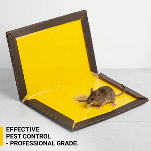 Trampa Adhesiva Ecológica y No Tóxica para Ratones, Tabla Adhesiva para Ratas, Servicio OEM, Papel Adhesivo para Ratas Impreso Personalizado, Impermeable, Desechable, <span class=keywords><strong>Control</strong></span> <span class=keywords><strong>de</strong></span> <span class=keywords><strong>Plagas</strong></span> - Product Image 2