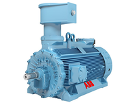Moteur électrique triphasé à induction à cage d'écureuil haute tension, protection IP54/IP55/IP56, 380V AC, pour l'exploitation minière et le cimentage