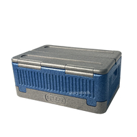 Glacière isotherme 40L moderne en mousse EPP, étanche, pour le transport alimentaire, camping en extérieur, sud-est