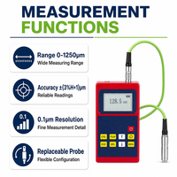 Jauge d'épaisseur de revêtement à induction magnétique avec sonde remplaçable 0-1250µm Testeur de peinture pour acier