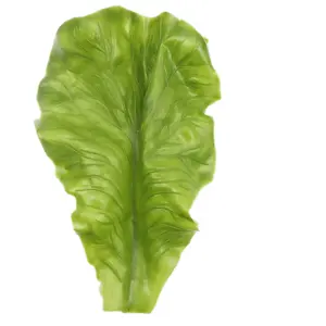 Small Soft Artificial Lettuce Leaves Resembling Fruit and Vegetable Green Leaf for Hamburger Decoration Artificial Vegetables