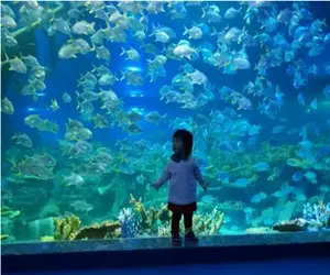 Tanque de peces ornamental, acuario acrílico único, muchos años de fábrica