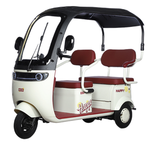 Tricycle <span class=keywords><strong>cargo</strong></span> électrique 1000w, scooter à dérive, vélo électrique à 3 roues pour adultes avec couverture, véhicule passager et <span class=keywords><strong>cargo</strong></span> - Product Image 4