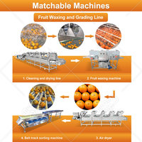 Mijn tomaten kiwi knoflook noten fruit groente sorteermachine hoge efficiëntie 304 roestvrij staal