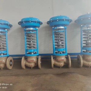 Suministro Directo de Fábrica: Control Neumático de Carrera Recta con Estructura de Manguito y Temperatura de 200°C ZJHM-16 - Product Image 4