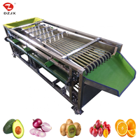 DZJX harga pabrik alat penyortir sayuran buah buah, bawang putih, stroberi zaitun, oranye, tomat, oranye, mesin penyortir kentang ceri