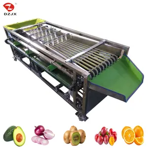 DZJX Factory Price Fruit Vegetable Sorting Garlic Olive Strawberry Orange Onion Tomato Orange Cherry Potato Sorting Machine