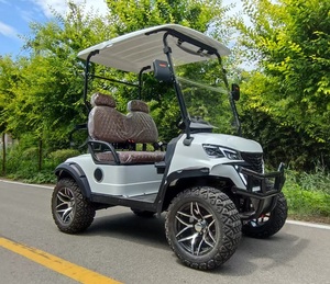 Productos Más Vendidos, Carritos Turísticos de Lujo con Motor de 4kw de Alta Configuración y Neumáticos Todoterreno - Product Image 1