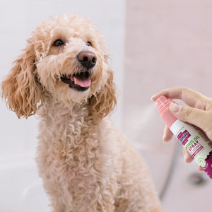 エッセンシャルオイルフォーミュラペットヘア看護および修理香水スプレーペットグルーミング製品犬肌保湿スプレーアルコールフリー - Product Image 2