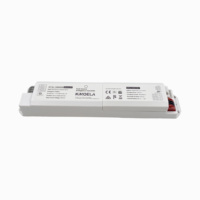 Controlador LED de Emergencia de Calidad Premium 2W 3W con Autoprueba de 180 Minutos y Batería de Respaldo LiFePO4 para Luminarias Lineales y Triproof