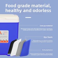 Glacière isotherme en PVC de 8 litres, portable, pour voiture et extérieur, compacte, pour vin, vaccins et conservation du lait maternel