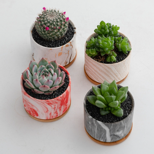 नॉर्डिक संगमरमर पैटर्न संयंत्र बर्तन रसीला बोने की मशीन चीनी मिट्टी फूल बर्तन थोक - Product Image 2