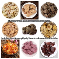 100% Resin Benzoin Alami Pilihan Tangan dari Alam, Resinoid Alami Hangat yang Digunakan untuk Dupa dan Bakhoor
