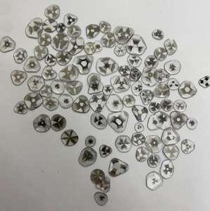 Venta al por mayor de joyas sueltas Trapiche con diamantes naturales colección Dia - Product Image 4