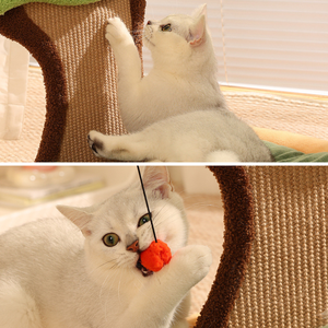 Nouveau <span class=keywords><strong>lit</strong></span> pour chat 2-en-1 avec planche à gratter le dossier Canapé à gratter moderne pour chats et chatons d'intérieur - Product Image 2