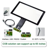 Pantalla Táctil Capacitiva Proyectada (PCAP) de 15.6 Pulgadas con Interfaz USB EETI3189 ILITEK2510 en Promoción