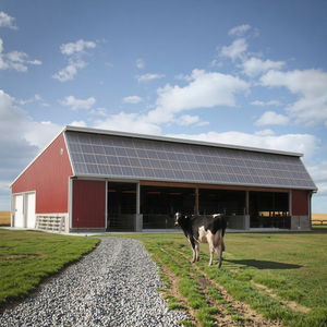 Aanpasbare Geprefabriceerde Stalen Gebouwen Voor Magazijnen En Vee-Woningen Met Flexibele Indelingen En Maten - Product Image 2