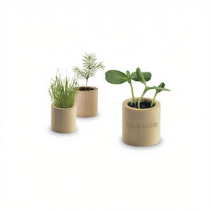 Jardinières en bois rondes miniatures avec graines pour plantes d'intérieur, coffret cadeau - Product Image 2