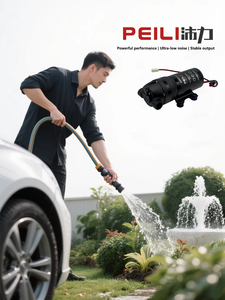 佩利 24V 600 GPD 电动增压泵自吸式 <span class=keywords><strong>PL</strong></span>-502-600W 502 系列自动功能用于滤水器配件 1 年 - Product Image 5