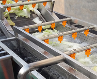 Spray-type bubbelreinigingsmachine voor het verwijderen van onzuiverheden in kreeften, zeevruchten, fruit, groenten, assemblagelijnen en het reinigen van garnalen.