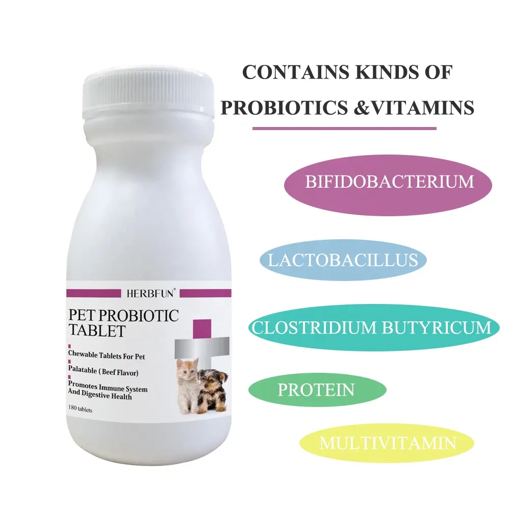 애완 동물 Probiotics 보충 영양 정제 개와 고양이의 소화 촉진 및 체중 증가를위한 씹어