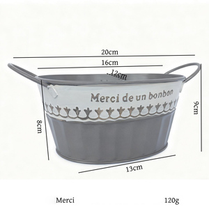 Vente directe d'usine de pots en fer ovales à double anse pour plantes succulentes, idéaux pour décorer les jardins intérieurs et extérieurs. - Product Image 6