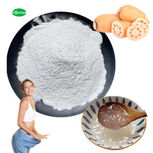 ผงสารสกัดราก<span class=keywords><strong>บัว</strong></span>สำเร็จรูปสำหรับอาหาร ตัวอย่างฟรี - Product Image 1