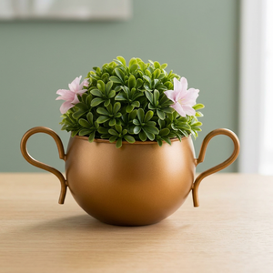 Creative Metal Flower <b>Pot</b> with Double Handles Modern Desktop Planter for Indoor <b>Succulents</b> - Product Image 5
