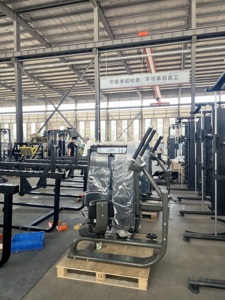 Trung quốc sản xuất ma trận tập thể dục thương mại Thiết bị tập thể dục ROTARY thân máy pin tải lựa chọn cho eo tập thể dục - Product Image 4