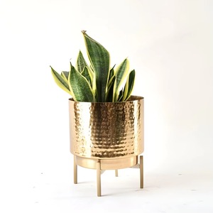 Macetero Metálico Texturizado de Alta Demanda para Mesa de Salón, Jardín, Balcón y Decoración de Interiores, Disponible a Buen Precio - Product Image 4