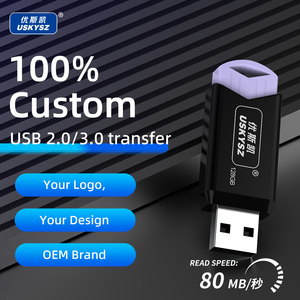 Memoria USB 2.0 con Logotipo Personalizado, Pendrive de 2GB, 4GB, 8GB, 16GB, 32GB, 64GB, 128GB, Unidades Flash USB Retráctiles - Product Image 3