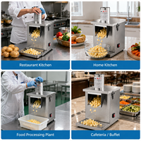 Commerciële elektrische groenten snijmachine van roestvrij staal, fruitblokjes snijder en -slicer voor hotel, restaurant en keuken, voedselverwerker