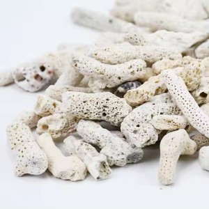 พิพิธภัณฑ์สัตว์น้ําจัดสวนหินปะการังทรายปะการัง - Product Image 3