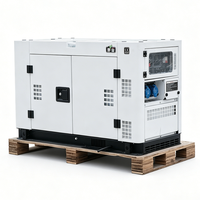 RTH 12KW/15KVA Tragbarer Dieselgenerator Niedriger Kraftstoffverbrauch Qualitätsgarantie Hohe Leistung Grüne Energie Offenes Gestell 100% Kupfer