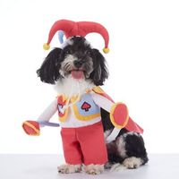 Costume d'Halloween pour animaux de compagnie en gros, pirate, chevalier, diable, cape, vampire, squelette, sorcière, costumes de Noël pour chien et chat