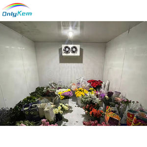Chambre froide de stockage de fleurs OnlyKem, chambre froide de réfrigération, chambre froide - Product Image 1