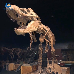 Zigong-esqueleto de <span class=keywords><strong>dinosaurio</strong></span>, réplica de <span class=keywords><strong>huesos</strong></span> de <span class=keywords><strong>dinosaurio</strong></span> - Product Image 4