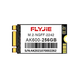 Flyjie stoklanan 3D TLC sabit diskler SSD yüksek kalite M.2 2242 Sdd 1TB 512GB 256GB 128GB 64GB