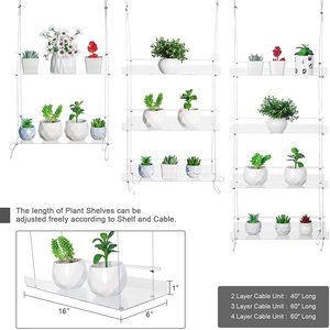 Estante transparente colgante para plantas, escaparate de exhibición de flores de acrílico para interior, estante de almacenamiento flotante para plantas - Product Image 3
