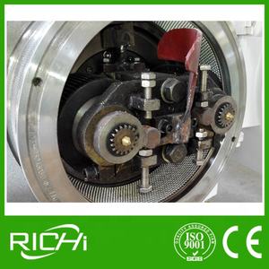 고품질 나무 Pelletizer 기계/유칼립투스 나무 펠렛 기계 - Product Image 2