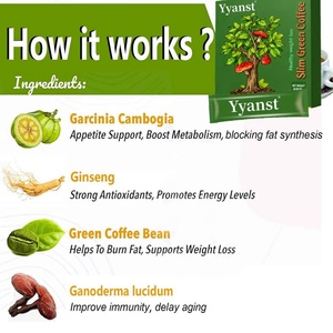 กาแฟลดน้ำหนักคุณภาพสูง OEM/ODM แคลอรีต่ำ ลดความอยากอาหาร สำหรับคนทานมังสวิรัติ กาแฟเขียวเพื่อการลดน้ำหนัก - Product Image 2