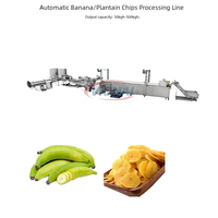 Friteuse Électrique Automatique à Gaz Haute Capacité pour Chips de Pommes de Terre, de Plantains et de Bananes