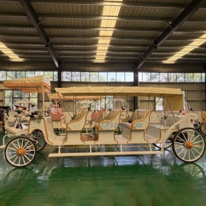 Carroza Turística Eléctrica de 4 Filas, Totalmente Metálica, Personalizable con Toldo, para Parques Temáticos, Atracciones Turísticas, Desfiles y Eventos - Product Image 6