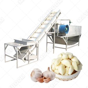 Mesin pembuat granul bawang putih kering biaya pabrik pengolahan butiran bawang putih tanaman - Product Image 2