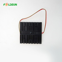 Panel Surya Epoxy Bentuk Kustom Tahan Air IP65 Enkapsulasi Resin 3V 12V Modul Surya Mini