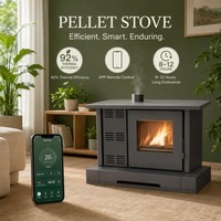 Poêle à granulés de bois moderne Fangran 150ZD OEM ODM avec écran tactile WiFi, échangeur de chaleur haute efficacité, télécommande, pour intérieur